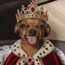 NOVA profil fotoğrafı