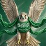 Profilbild von 🇸🇦ابو💚عبدالمجيد🇸🇦