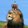 yemeni warrior 🦁 profil fotoğrafı
