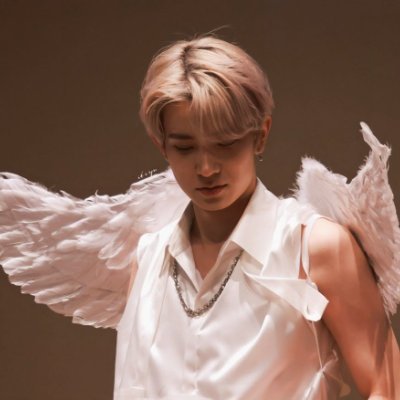 everdives's profile picture