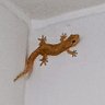 Фото профиля Esteban7