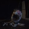 Number1RatedSalesman1997!!'s profile picture
