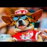 boneca sem pilha's profile picture