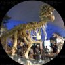 Фото профиля 🟠スーパージュラ紀🦖 ステーション(ジュラ紀🦖)😈 統一地方選モード