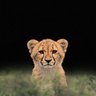 Shosho🤍.'s profile picture