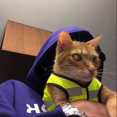 Aarde's profile picture