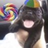 jace's profile picture