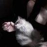 Gyshsmam profil fotoğrafı