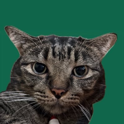 บุคคลที่หัวร้อนง่ายแต่ใจเย็นได้เพราะแดอุน's profile picture