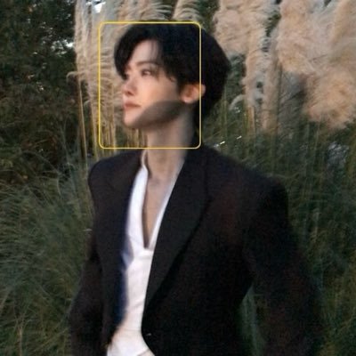 813films's profile picture