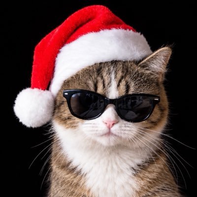 cat25z's profile picture