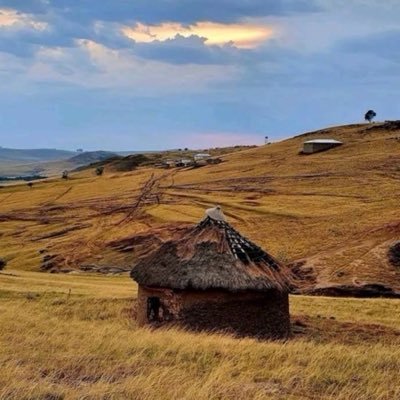 Nkunzi Ebomvu 🐂's profile picture