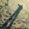 Profilbild von Han