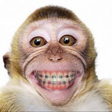 PROXIE_Official's profile picture