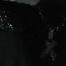 NTK-X's profile picture