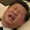 习泽东's profile picture