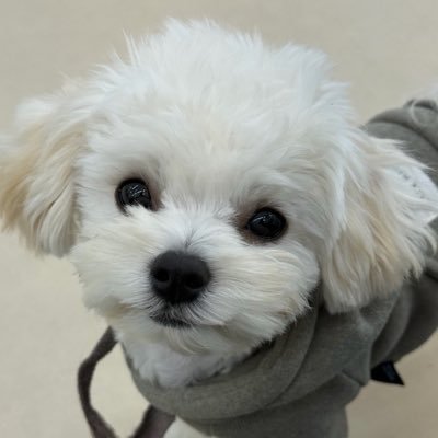 MMayMinnie's profile picture