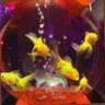 ヲタけんジジ's profile picture