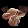 LayLo BeCool's profile picture