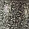 complexity profil fotoğrafı