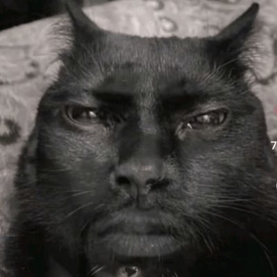 stranogui's profile picture