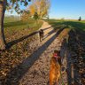 FallColors profil fotoğrafı