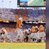 🍊 NorthGA-VolFan 🍊's profile picture