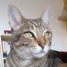 Profilbild von danieljulia.tez