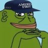 AFHatGroyper's profile picture