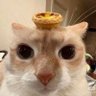 Profilbild von 蛋挞king