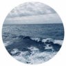 Abdulaziz's profile picture