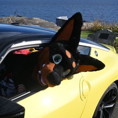 the_maxxi's profile picture
