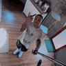 Profilbild von ®️
