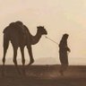 وهاج 🏜️ 的头像