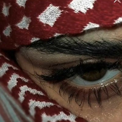 8xymy's profile picture