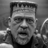 WARS OF THE INFO!'s profile picture