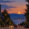 A.A profil fotoğrafı