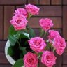 Фото профиля البحر