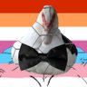 Profilbild von 🦆🏳️⚧️TheAnimalCrew🏳️⚧️🦆