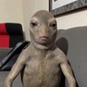 Twonkalot's profile picture