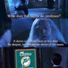 SameOlFuckingDolphins 的头像