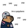 Yap's profile picture
