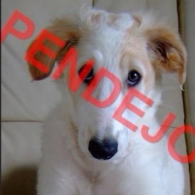 parker's profile picture
