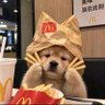 泡泡's profile picture
