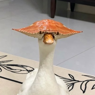 ᴊᴀᴏ ᴊᴀʏʏʏʏʏʏʏ 🫶🏽's profile picture
