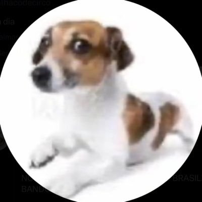 glay's profile picture