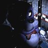 Bonnie The Bunny - parody acc 的头像