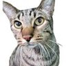 Monty's profile picture