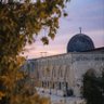 Фото профиля meson par