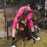 GoldenAuraJK's profile picture